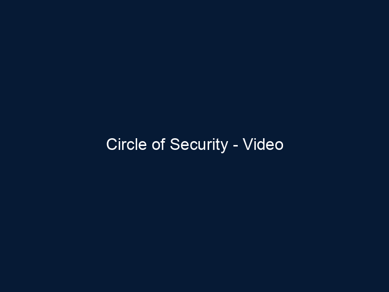 Circle of Security - Video