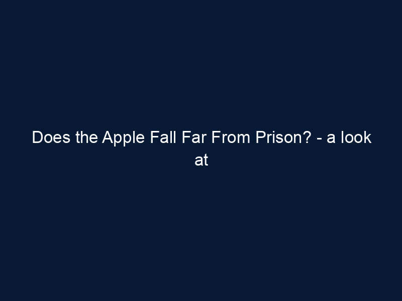 Does the Apple Fall Far From Prison? - a look at the effects of stigma (video)