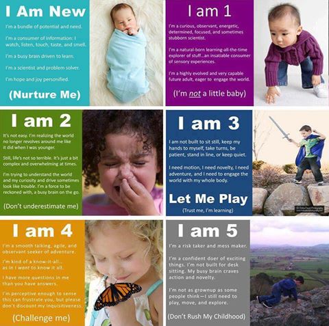 Your child's developmental stages - infographic