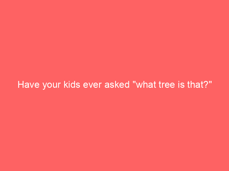 Have your kids ever asked "what tree is that?"