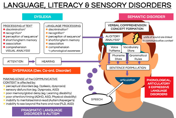 Language, Literacy, and Sensory Disorders