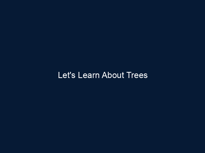 Let's Learn About Trees
