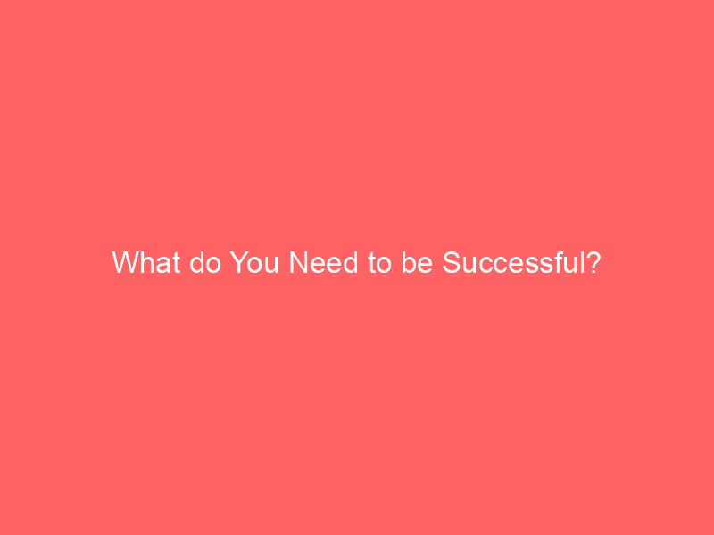 What do You Need to be Successful?